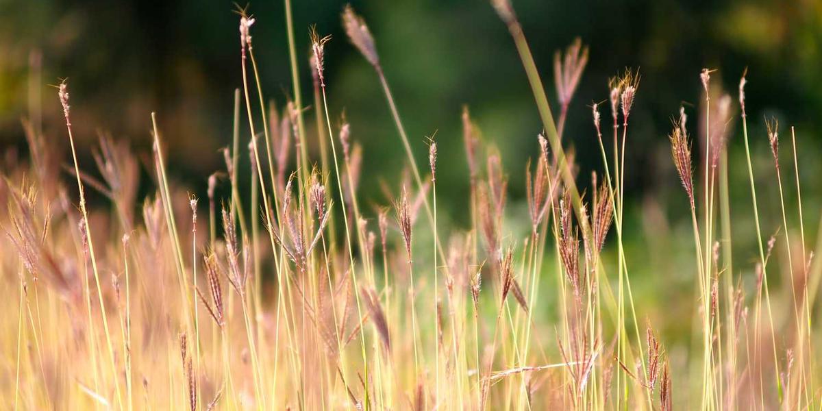 التصاميم الجميلة ترفع من قيمة العلامات التجارية